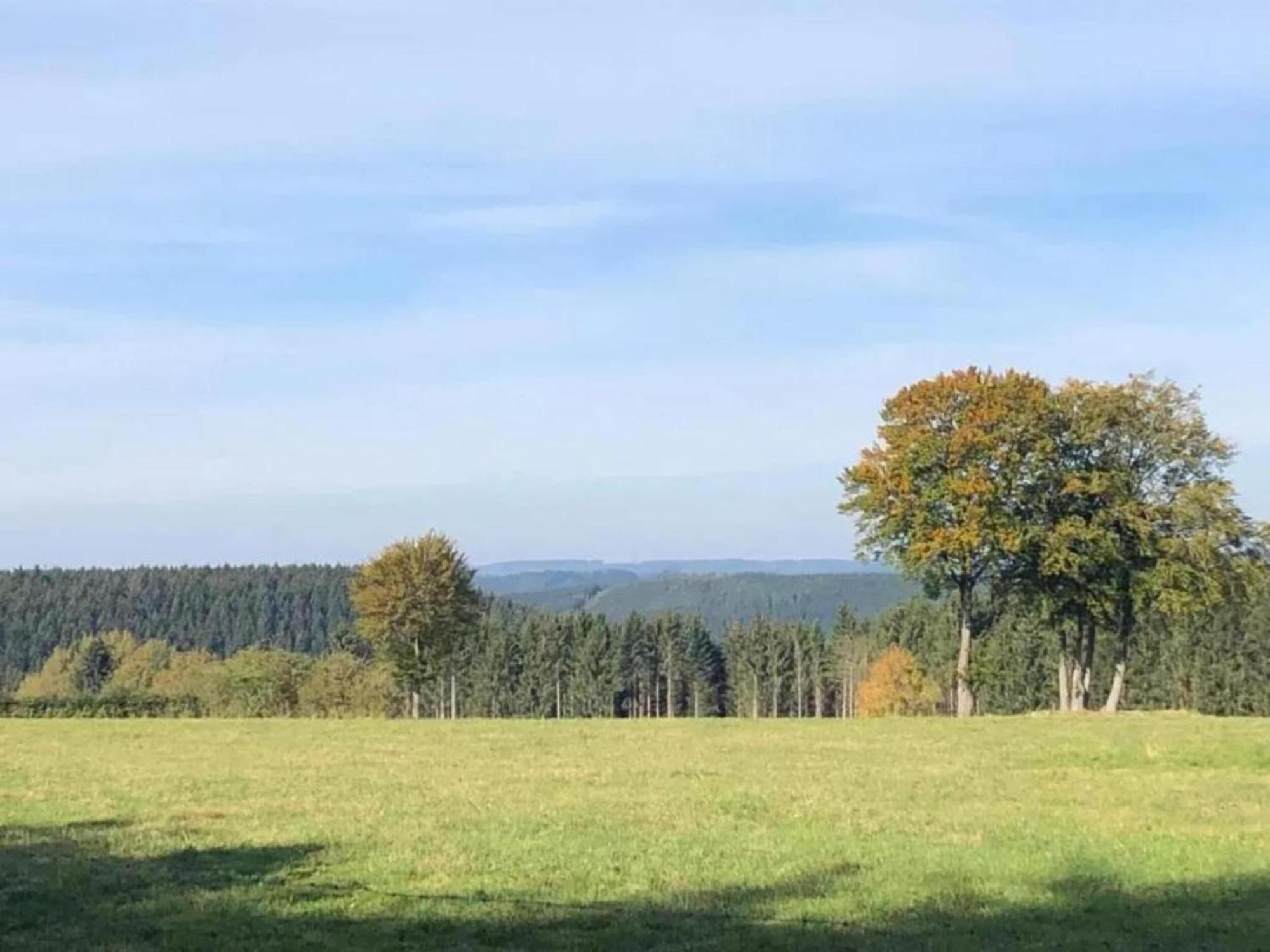 Holiday Home Ardennes Blue In Theux Near Spa La Reid Εξωτερικό φωτογραφία